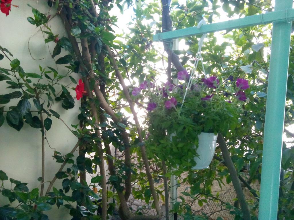 Mary'S Studios Agia Pelagia Kythira المظهر الخارجي الصورة